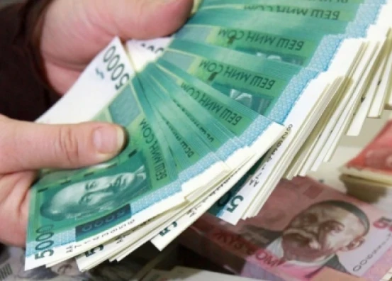 Избранные депутаты Жогорку Кенеша потратили на выборы более 739 млн сомов