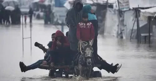 Жители Газы, вынужденные покинуть свои дома из-за урагана, столкнулись с катастрофой, практически не имея ничего