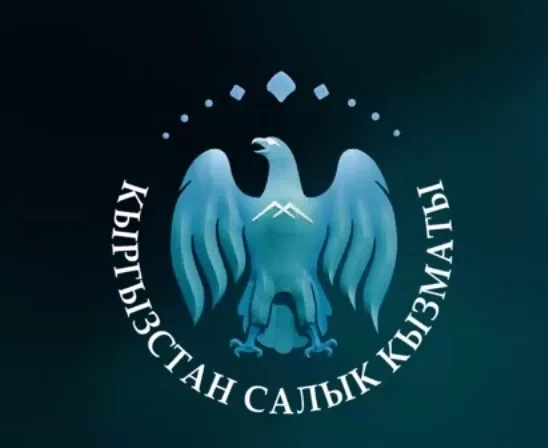 Налоговая служба Кыргызстана внедрила сервис онлайн-перерегистрации ИП