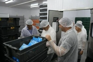 В Чуйской области планируют открыть 78 перерабатывающих предприятий