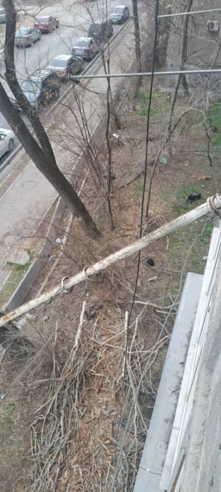 Горожанка обвиняет "Бишкекзеленстрой" в повреждении своего балкона. Ответ мэрии