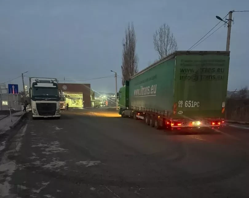 В Кыргызстана не пустили 22 тонны корма для рыб из Турции