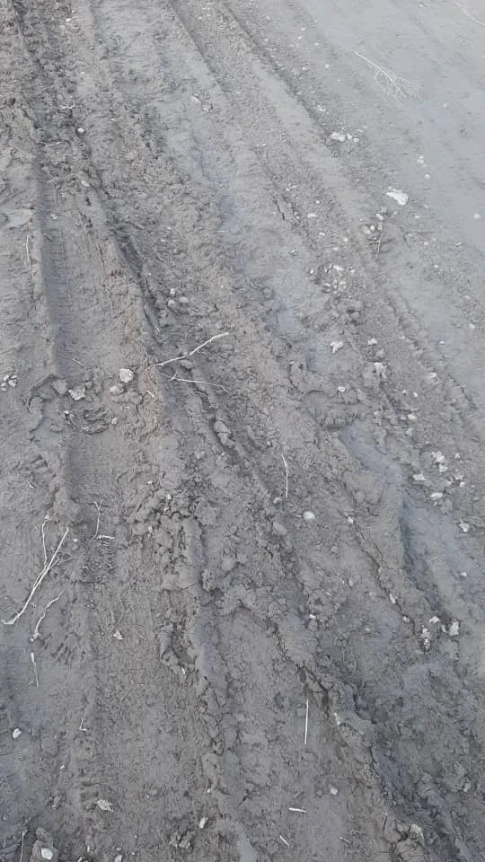 "Дети и взрослые идут по грязи". Жители "Биримдика" просят сделать тротуар