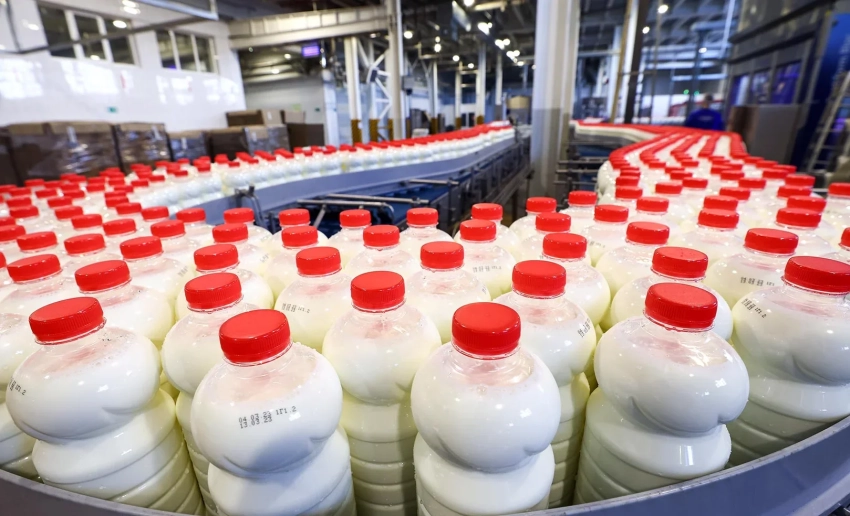 В Кыргызстане создадут 385 перерабатывающих предприятий для развития агросектора