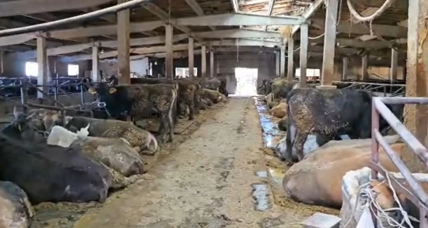 Президент выделил средства на горячее питание для спасателей, очищающих Иссык-Куль