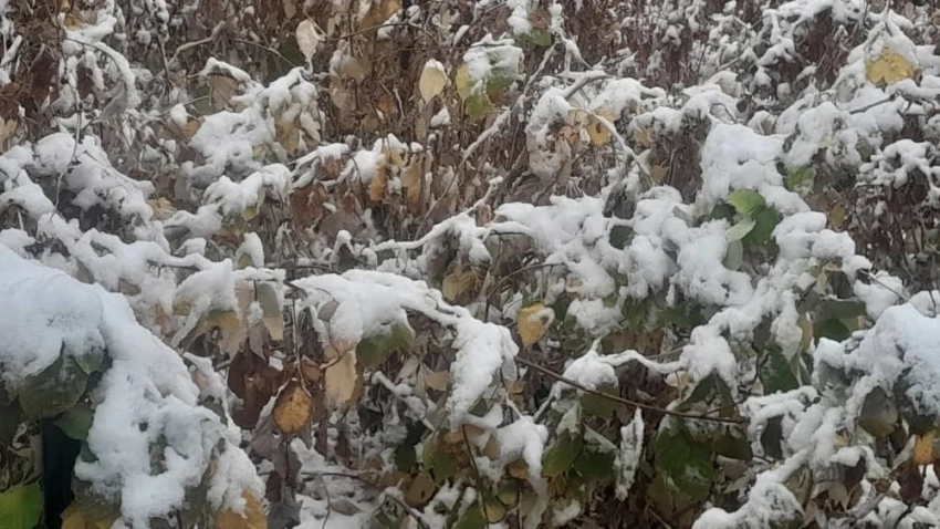 Без осадков будет в ближайшие дни только на западе Казахстана