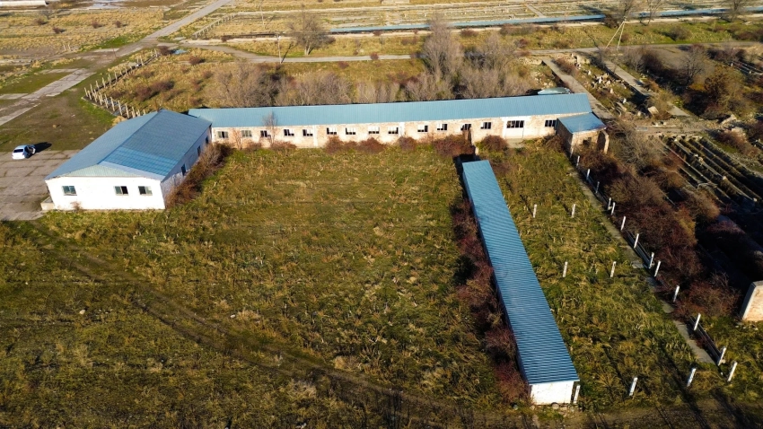 Откормочный комплекс в Чуйской области стоимостью 1,45 млрд сомов выставлен на торги