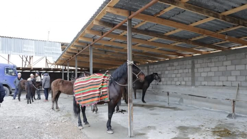 Животные без справки не допускаются: В Кыргызстане усилен контроль на скотных рынках
