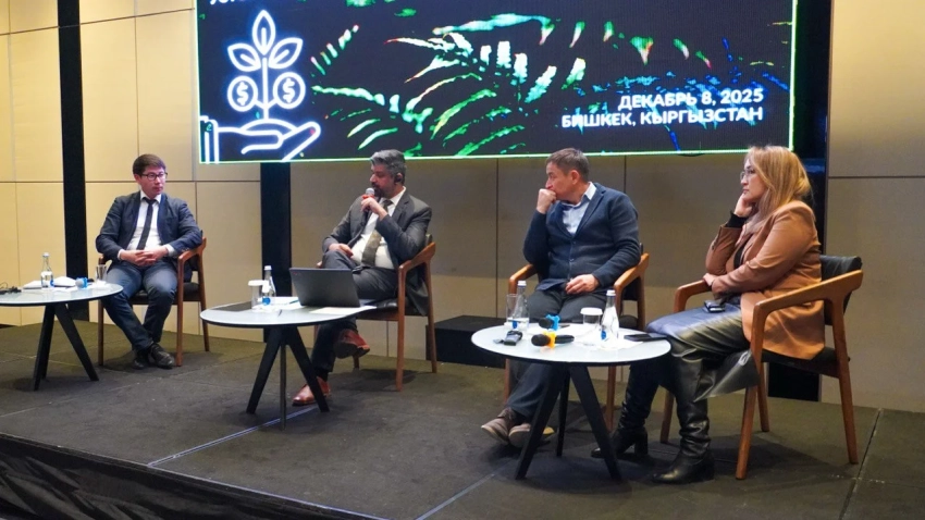 Банки Кыргызстана готовят к внедрению зеленых финансовых продуктов