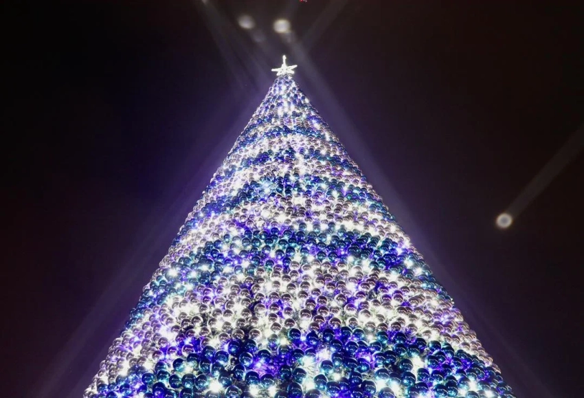 На площади Ала-Тоо в Бишкеке зажгли главную новогоднюю елку страны