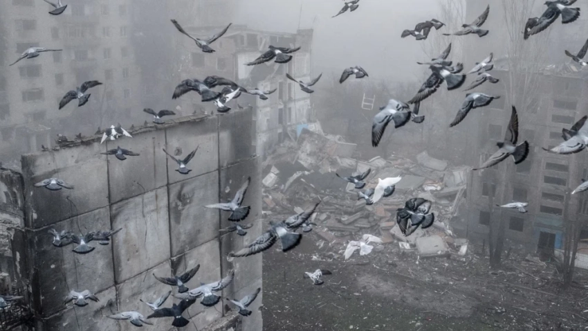 События в Украине и мире. Главное к утру 16 декабря