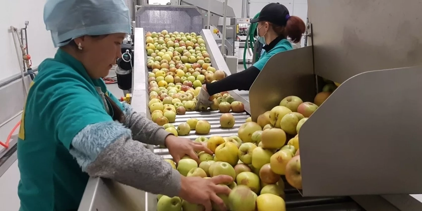 В Иссык-Кульской области будут открыты 6 торгово-логистических центров