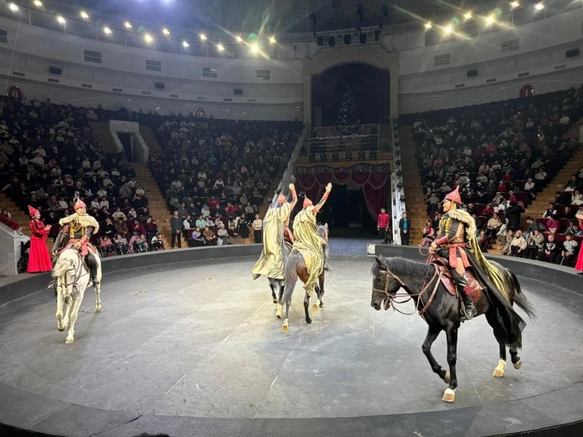 Для детей из уязвимых категорий показали новогоднее шоу в цирке