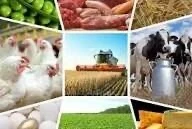 В перерабатывающей промышленности за 11 месяцев зафиксирован высокий рост