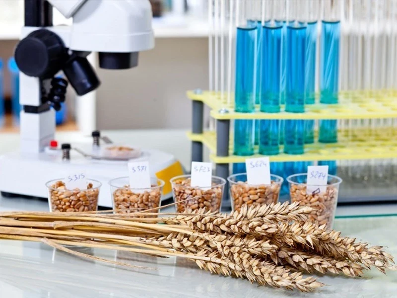 В Кыргызстане запущена АИС "Экспертиза"