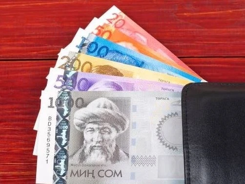 Сироте с инвалидностью выплатят пособия на сумму более полумиллиона сомов