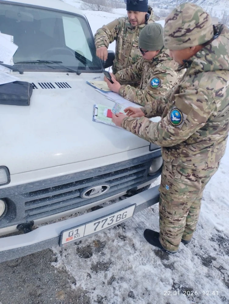 В Чуйской области оштрафовали мужчин за незаконный отстрел фазанов