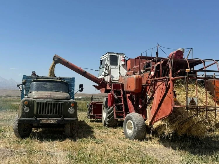 Потери урожая, рост животноводства. Как фермеры Кыргызстана закончили 2025 год