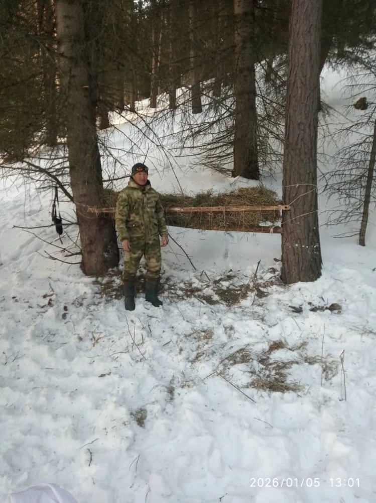 В Чон-Кеминском парке егеря фиксируют выход косуль к подкормке