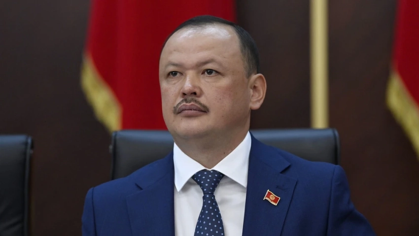 Лошади, змеи, кролики Жогорку Кенеша и гороскоп от ИИ