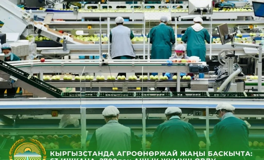 В Кыргызстане в 2025 году введены 63 предприятия АПК