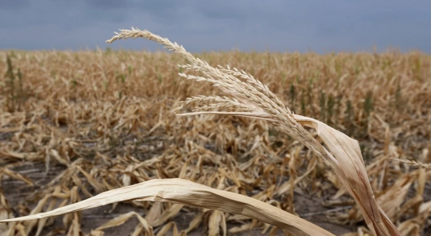 Казахстан готовится к водному кризису: озвучен худший сценарий на сезон