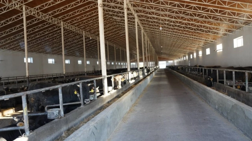 Минсельхоз КР подвел итоги селекционной работы