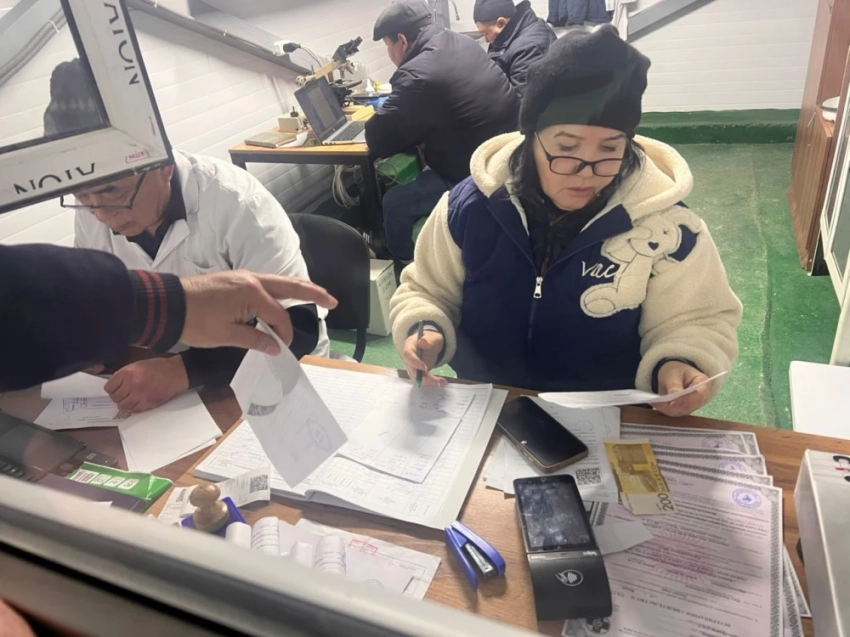 Оптовую торговлю мясом перенесли с Ошского рынка в другой район