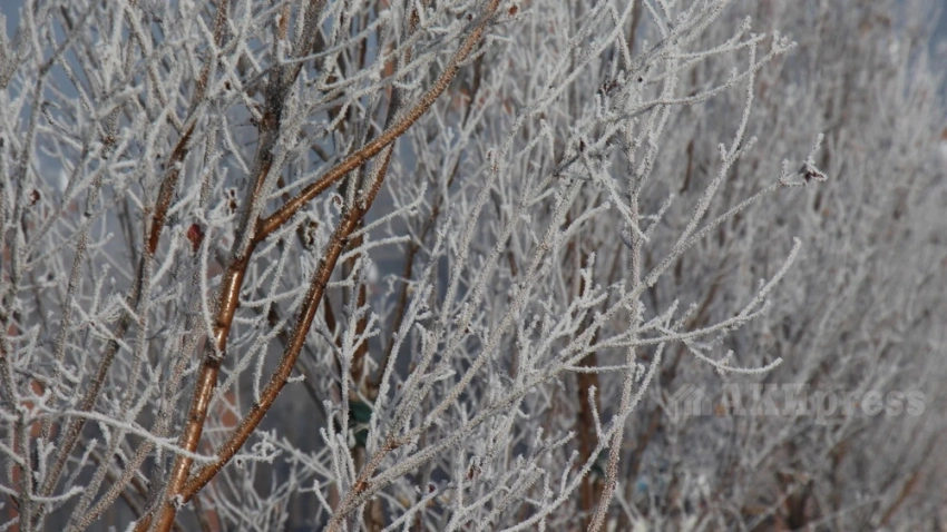 Со среды по Узбекистану ожидаются дожди и снег
