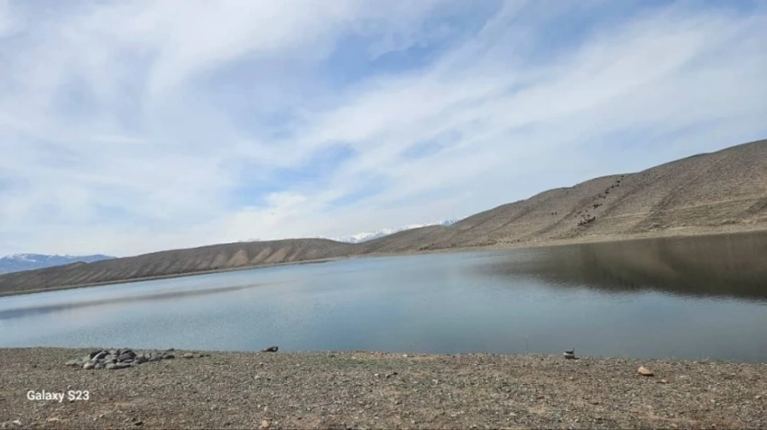 В Кыргызстане запускают систему цифровой прослеживаемости рыб