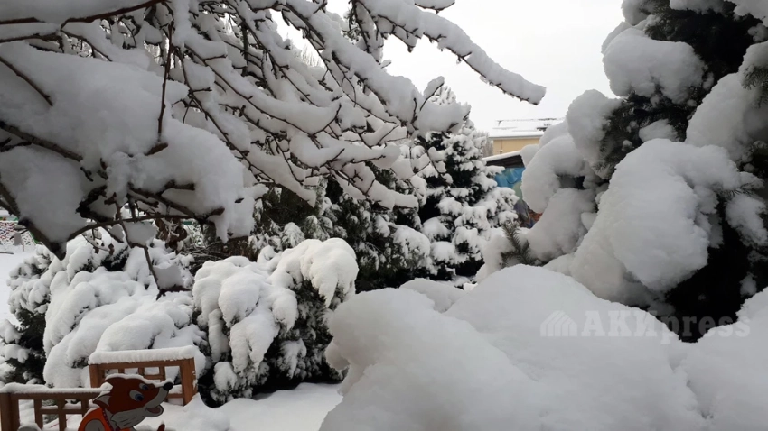 В Афганистане из-за снегопадов и дождей погибли 61 человек, 110 получили травмы