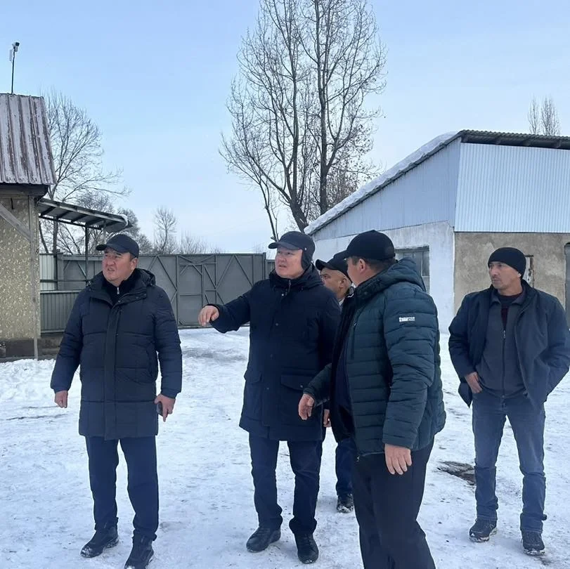 Курмонтинский цементный завод в Тюпском районе возобновит работу