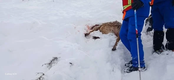 В Суусамыре 55 человек ищут мужчину, пропавшего под лавиной