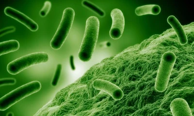 Найденная во льдах древняя бактерия оказалась устойчивой к современным антибиотикам