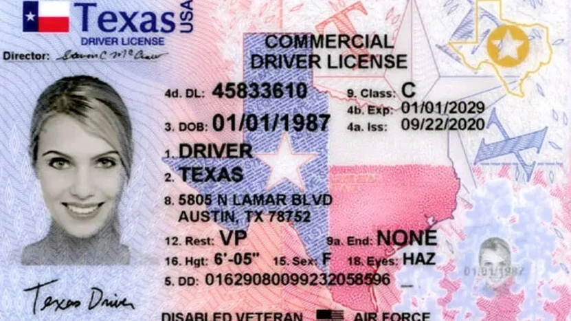 В США выявили сотни фиктивных школ подготовки водителей грузовых авто