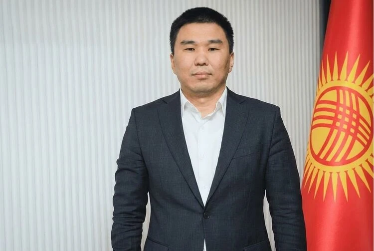 Эльнара Субакожоева назначили заместителем министра цифрового развития