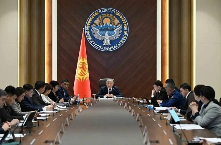 Горная повестка: за что глава кабмина Кыргызстана поручил наказать чиновников