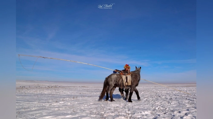 В равнинах Дорнод-Дарьганга скорость ветра достигнет 12-14 метров в секунду
