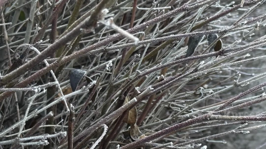 Погода на неделе будет нестабильной, но тёплой, в пятницу ожидается похолодание