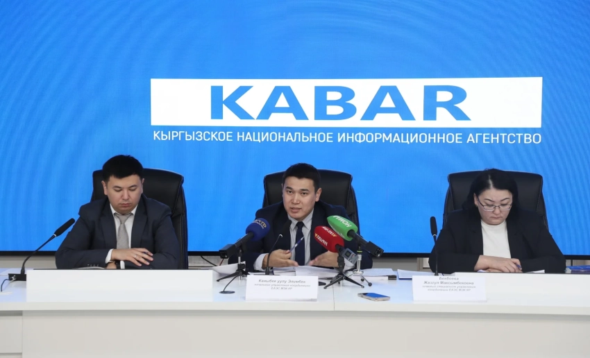 Кыргызстан получил новые тарифные льготы в рамках ЕАЭС