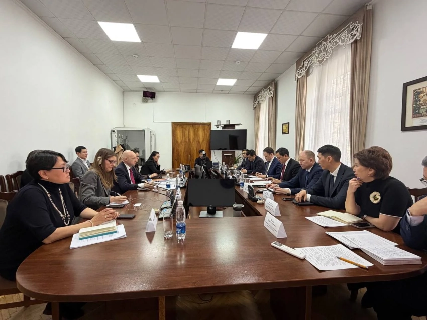 Кадры, «первичка», цифровизация: Минздрав КР и ВОЗ сверили приоритеты