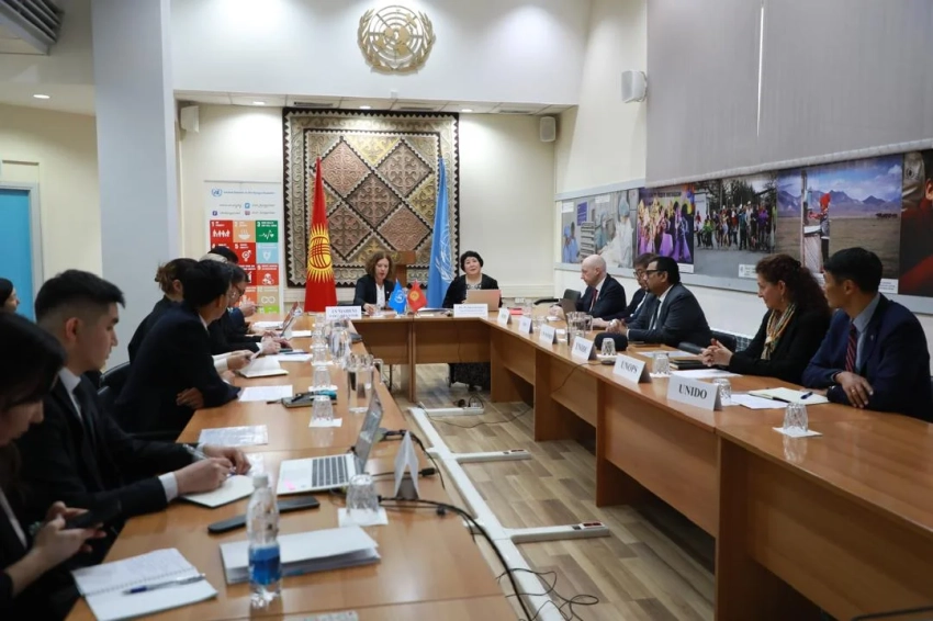 Обсуждены приоритеты Кыргызстана в рамках Пятилетия действий по развитию горных регионов