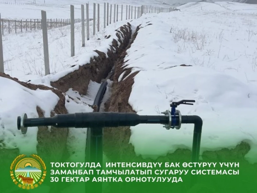 В Токтогуле внедряют интенсивное садоводство на засушливых землях