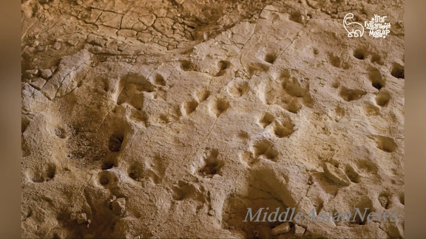 Монгольский регион Шар-Цав войдет в список глобальных геопарков ЮНЕСКО