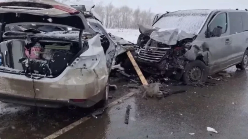 В 2025 году в КР в различных ДТП погиб 121 ребёнок