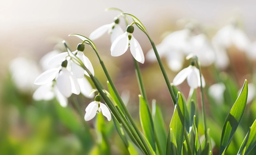 В Бишкеке ожидается потепление до +22 градусов