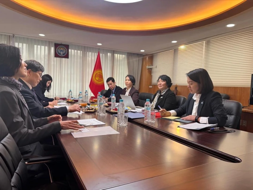 В Корее Динара Кемелова провела консультации по горным вопросам с рядом организаций