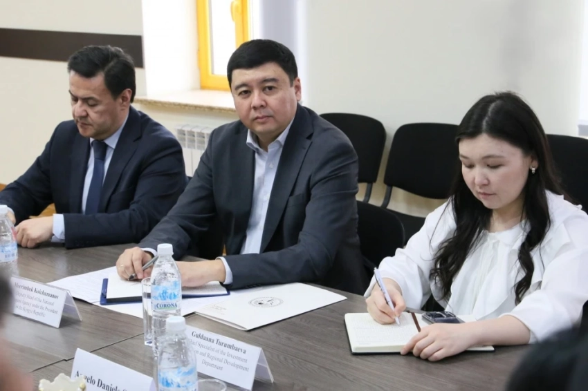 Кыргызстан укрепляет инвестиционное взаимодействие с Италией
