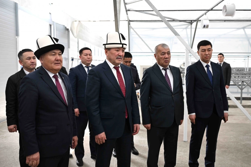 Глава кабмина и мэр Оша проверили строительство дороги Ош — Кара-Суу и теплицы