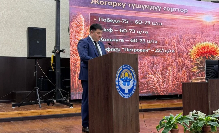 В Чуйской области запланированы посевные работы на почти 419 тысячах га земли